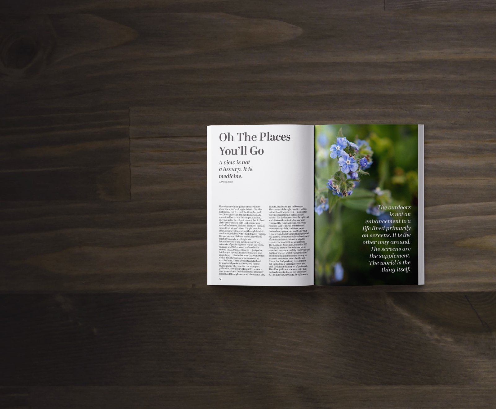 Magazine spreads
