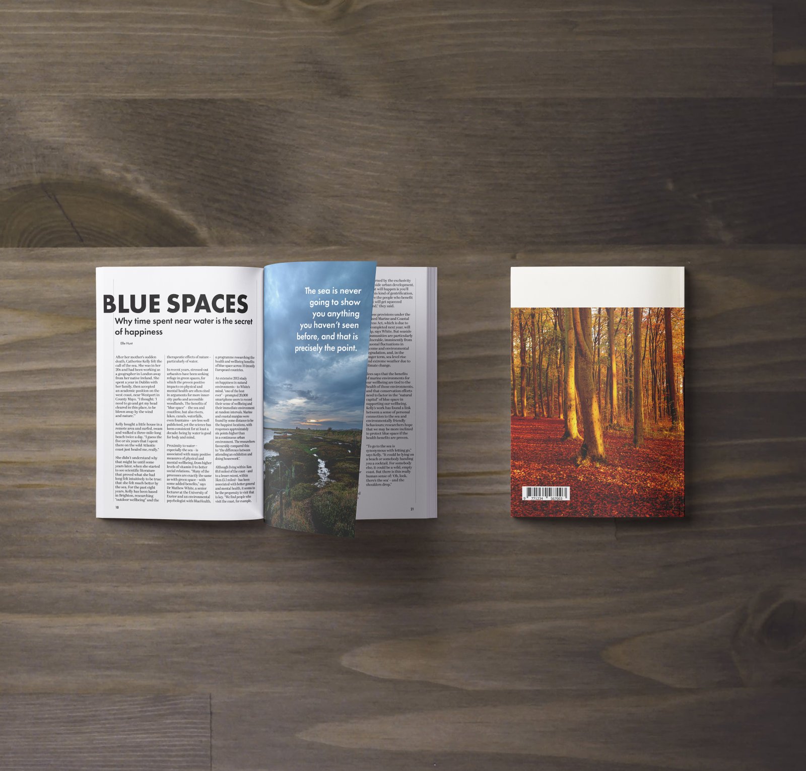 Back cover and spreads